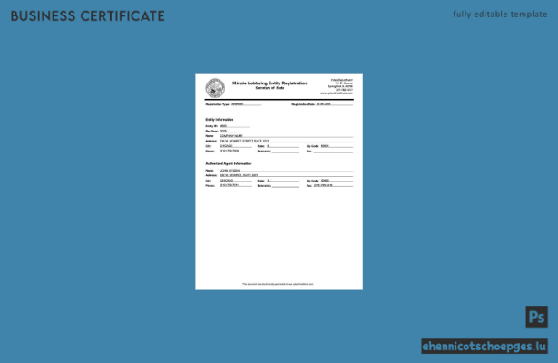 USA Illinois Zulassungsbescheinigung – Beispielvorschau in Word und PDF